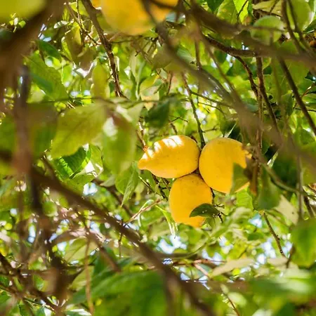 Casa Dos Azulejos B&B *