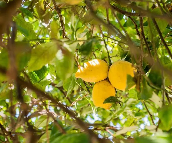 Casa Dos Azulejos Bed & Breakfast *
