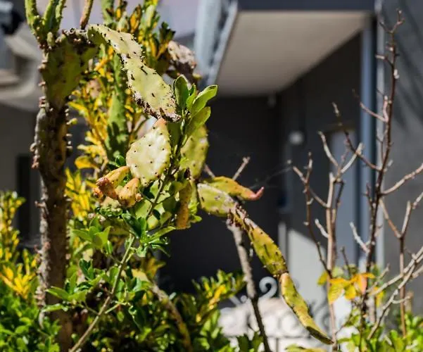 Casa Dos Azulejos Bed and breakfast *