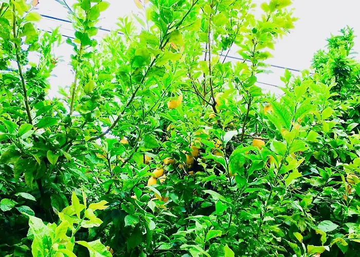 Bed & Breakfast Casa Dos Azulejos Matosinhos (Porto)